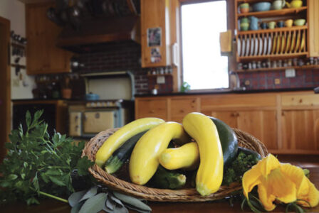 How to Grow and Cook Summer Squash Image